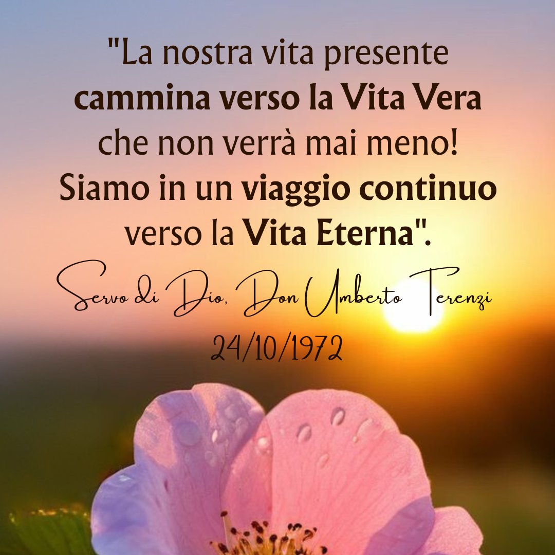 Don Umberto Terenzi (@donterenzi) on Twitter photo 