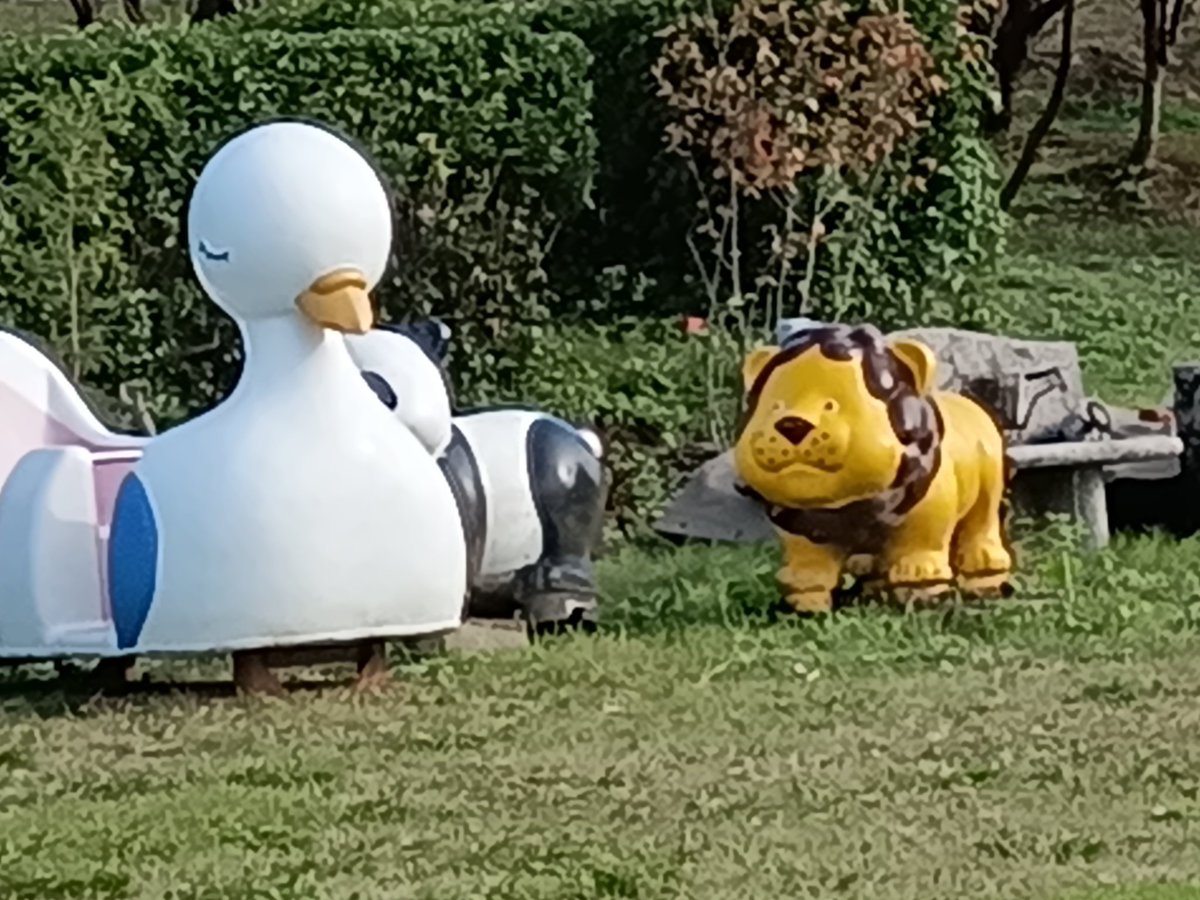 ⚽ヒロ⛹️‍♂️ on X