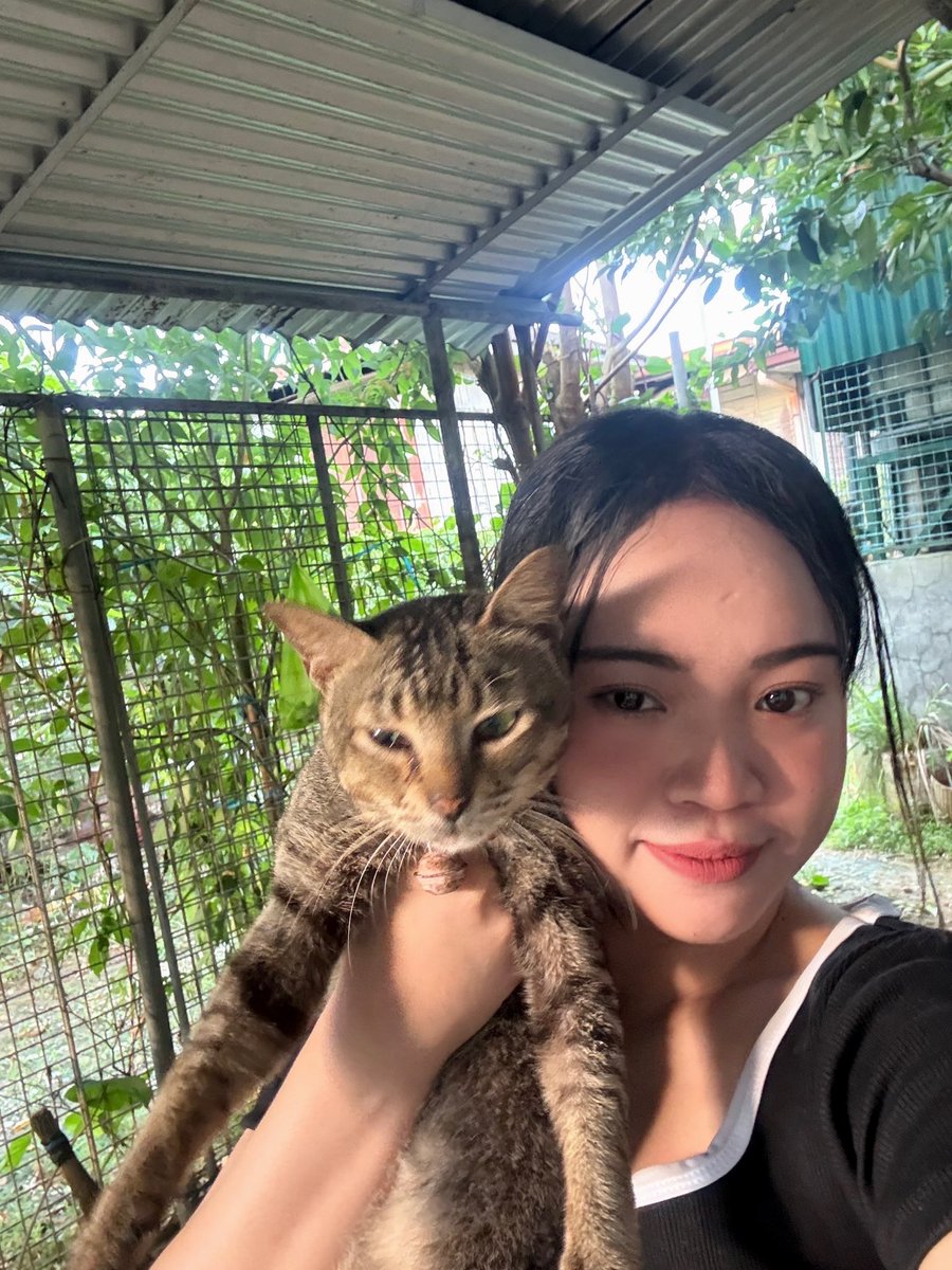 marifeaspera's tweet photo. 🐈🐱 https://t.co/YKxZ3EIxQn