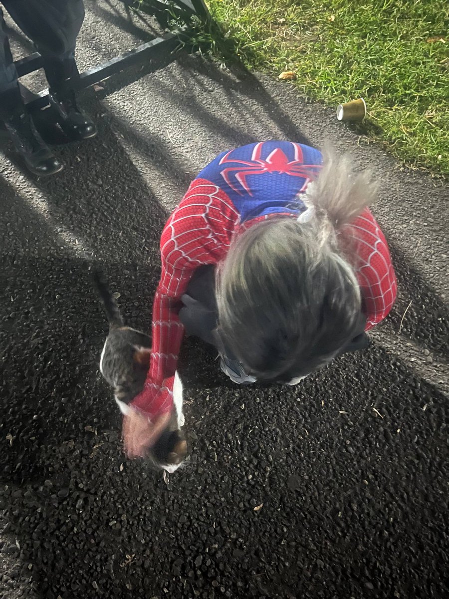 Venus؛ (@negaaaaarrrr) on Twitter photo 