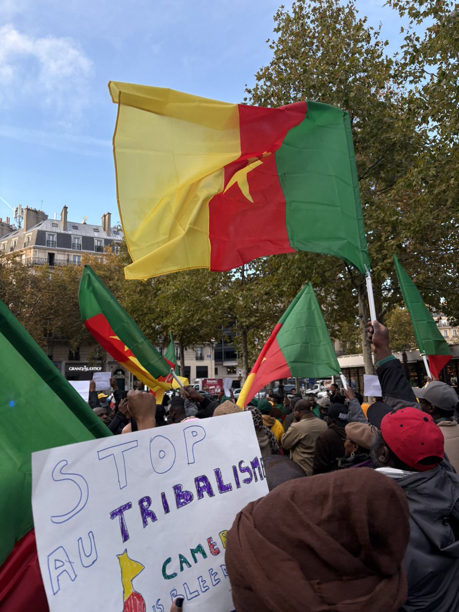 SENI 𓋹 🇨🇲 tweet media