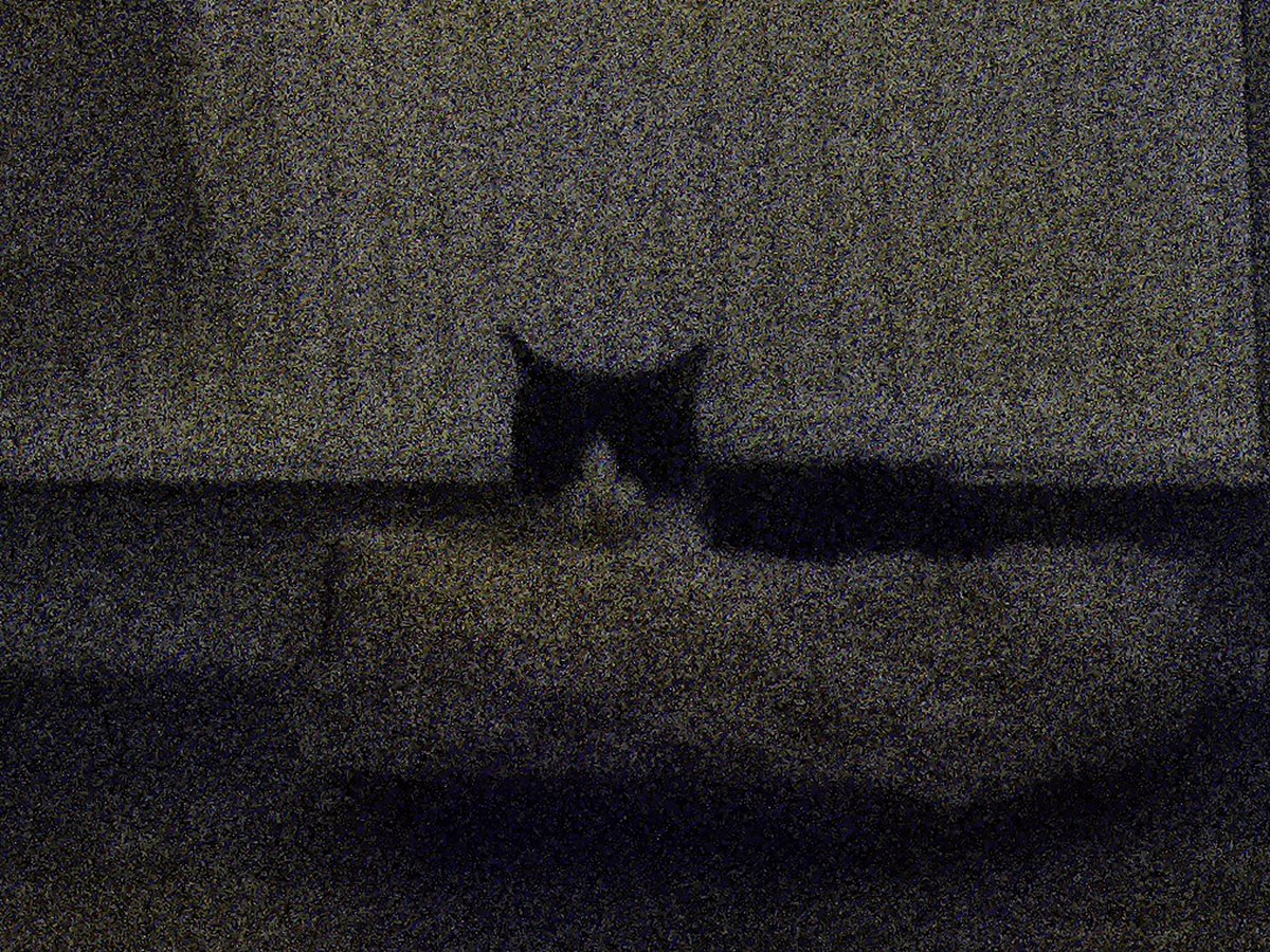 Vuurwerk op zuid. Warom <a href="/POL_Charlois/">Politie Basisteam Charlois</a> <a href="/NPRZ010/">NPRZ</a> @handhaving <a href="/GEMReport/">Global Education Monitoring Report UNESCO</a> <a href="/carolaschouten/">Carola Schouten</a>