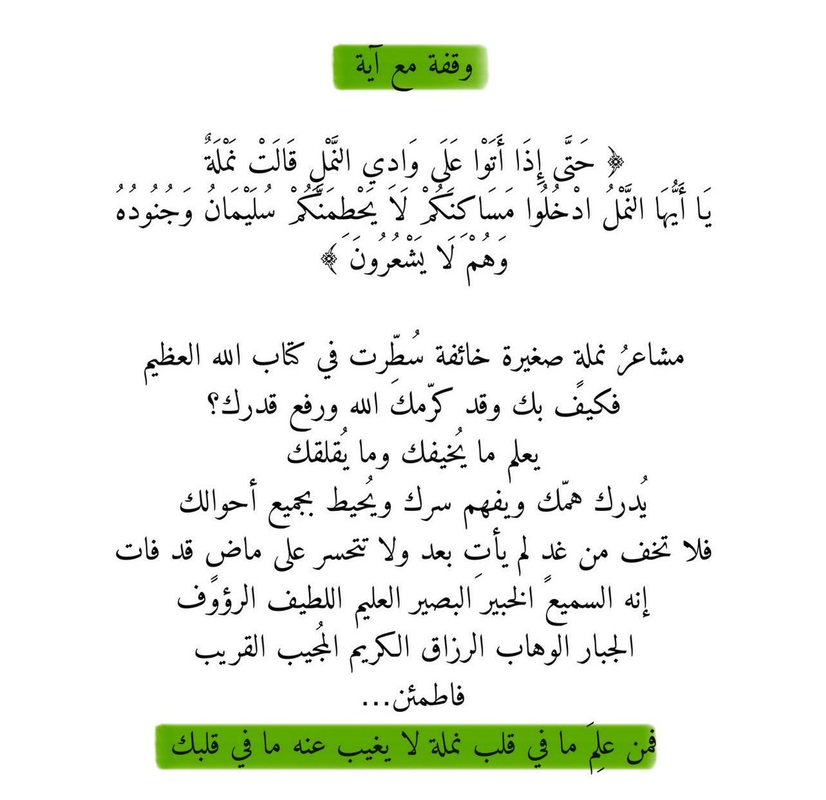 z_ou7's tweet photo. مخاوف نملة سُطرت في كتاب الله العظيم .. أتحسب أن مخاوفك هينة عند الله؟ https://t.co/AvTbe3BWRT