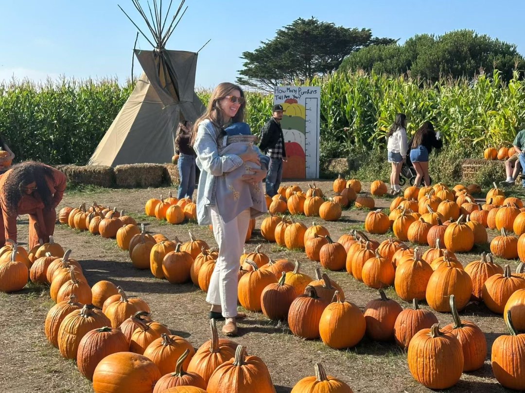 Ada_Juniper's tweet photo. You can still pick them even after Halloween; it's fun! https://t.co/V5P5NqpROk