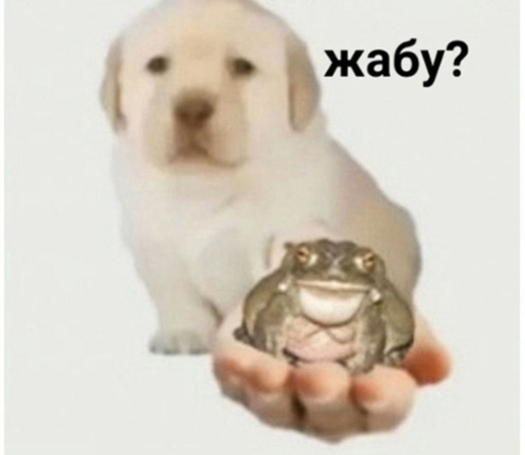 greedy toad tweet media