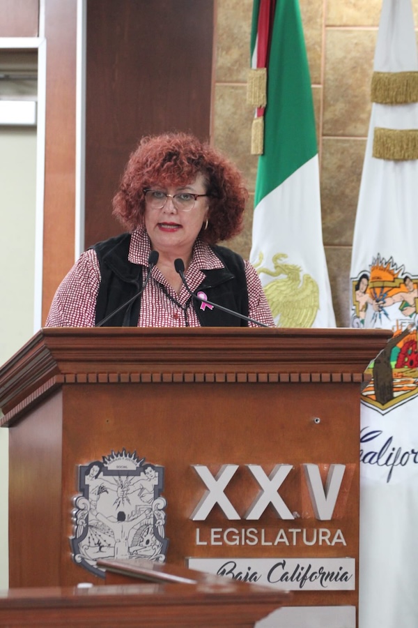 znortemedios's tweet image. El #CongresoBC aprobó eliminar la apostilla para registrar a hijas e hijos de mexicanos nacidos en el extranjero y permitirá añadir un segundo apellido.

Una reforma que fortalece el derecho a la identidad.
🔗 nuel.ink/bNHqbz