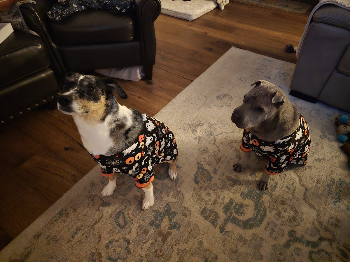 From the Hutch fam to your fam, we hope y'all are having a wonderful Halloween weekend! We love y'all!