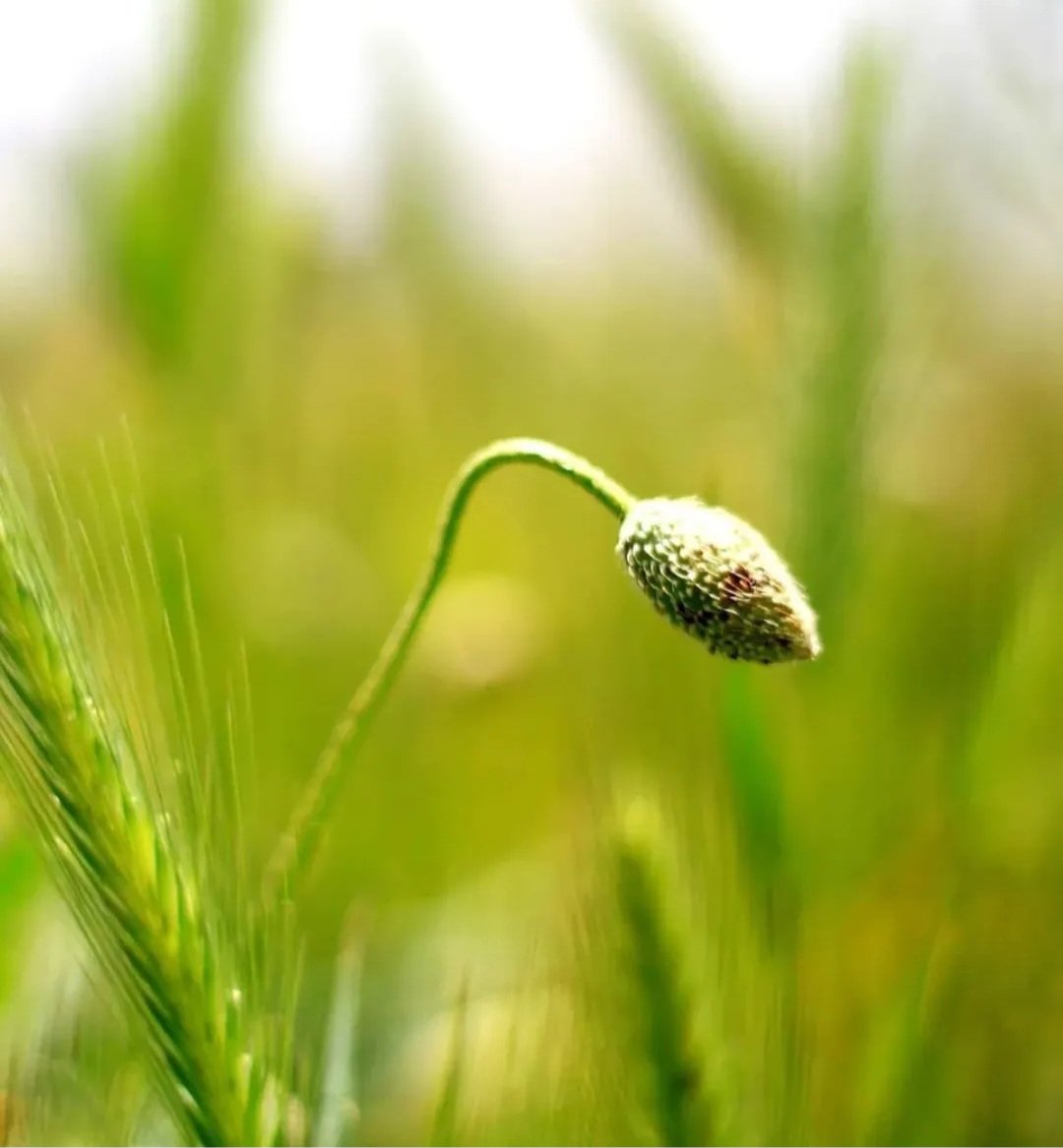 Muhit Kitap tweet media