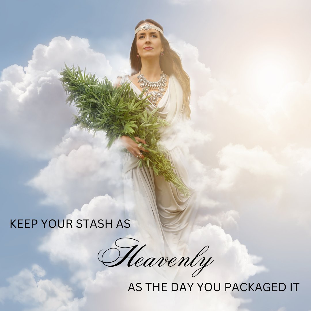 MoscaSeeds's tweet image. Keep your nugs fresh and potent with proper storage techniques! Learn how to maintain quality with airtight glass containers and ideal environmental conditions.🌿🍃 
rpb.li/djW

#moscaseeds
#growyourown
#howtogrow

#cananbiscommunity 
#cannabisindustry 
#weed  
#420