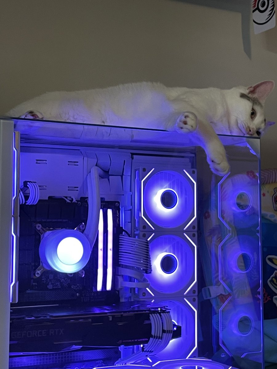 Miyuki loves computers just about as much as I do ❤️