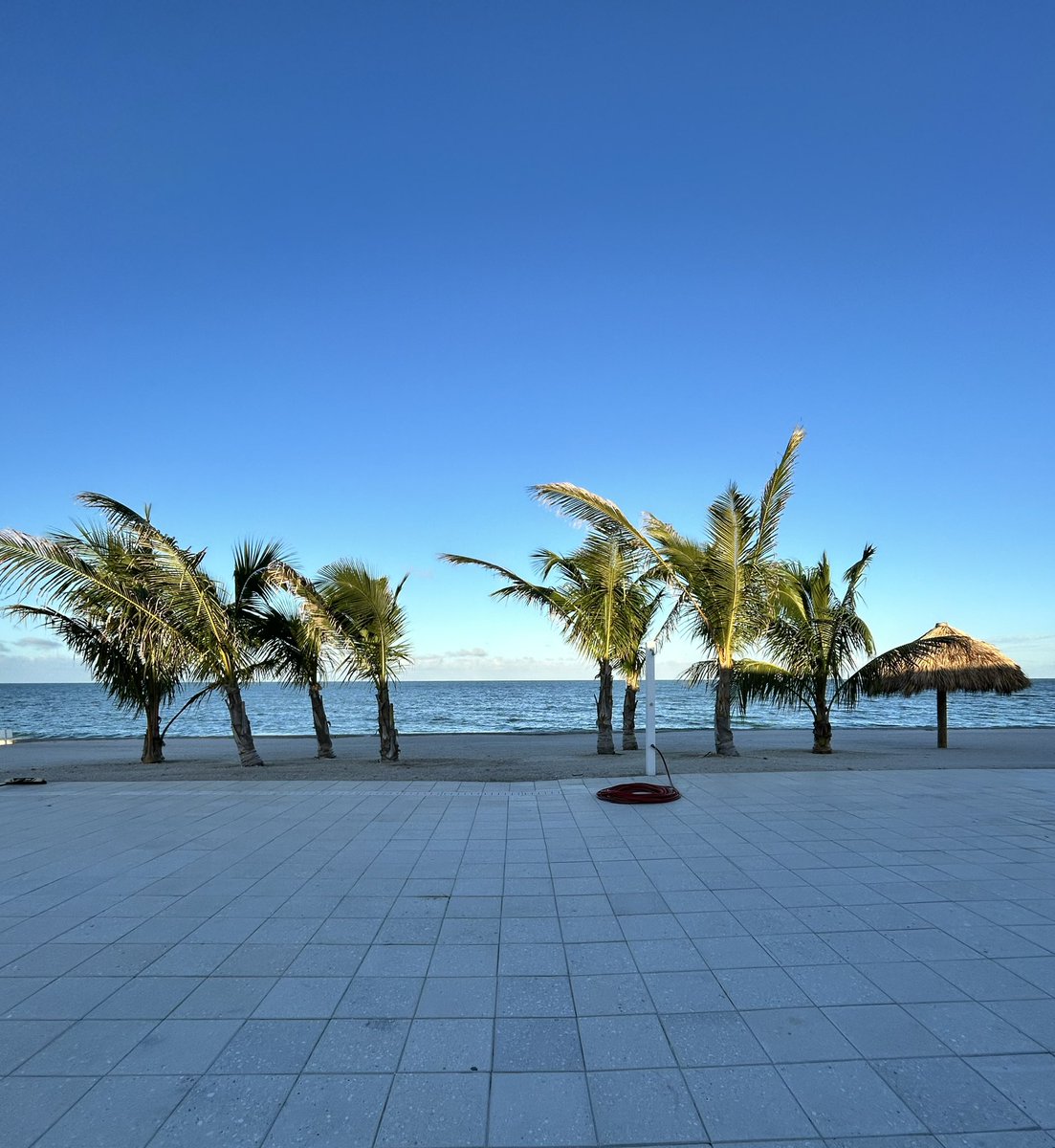 You know you’re local when 78°F feels “a little chilly.” #florida