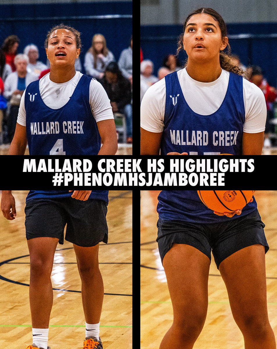 Lady Phenom Hoops tweet media