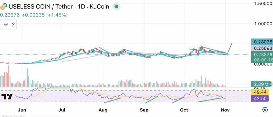 $USELESS is still the best looking memcoin chart and top runner of 2025

Consolidating at ~$200m-$400m for over 120 days!

More volume than ANY other memecoin! It gives early $SHIB $WIF $FARTCOIN vibes before their unexpected breakout to multi billions.

BILLIONS will come quick!