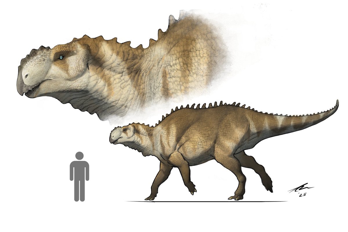 Hope everyone had a great Halloween! 🎃
Here are some commissions I worked on recently! 👀