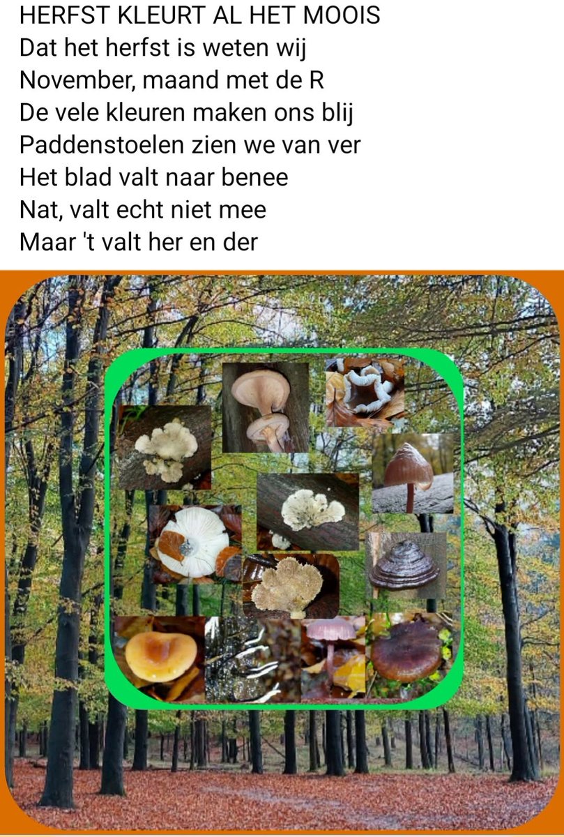 Gerrie van den Brink (@edelhert34) on Twitter photo 