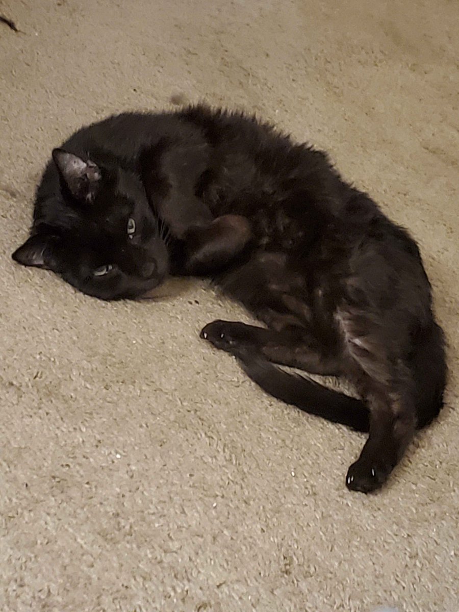 Owen Seven tweet media