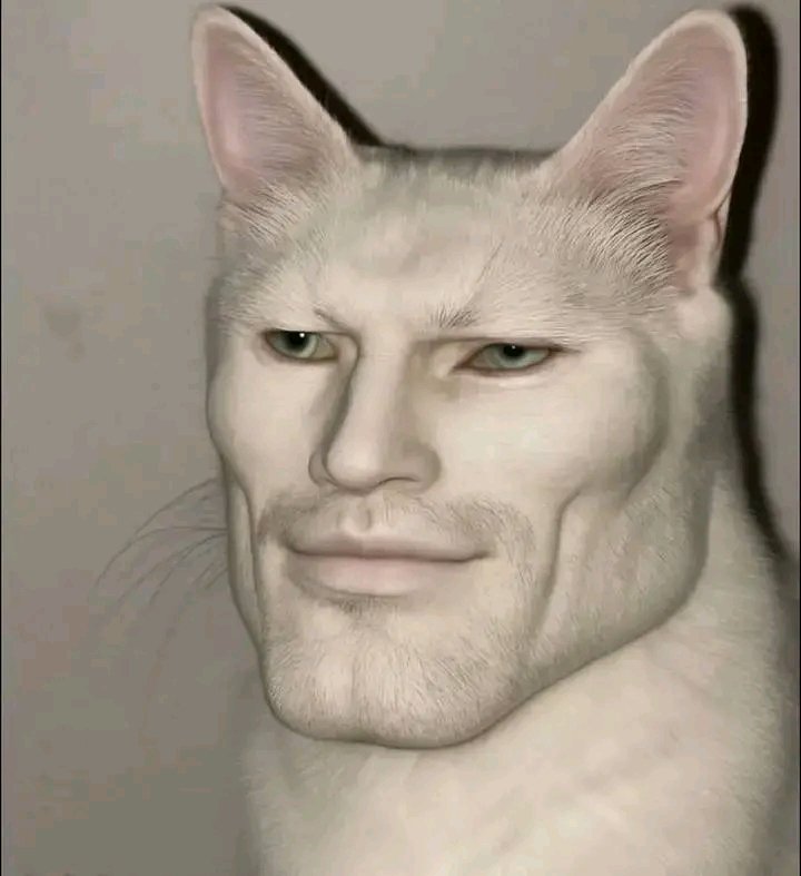 Pressure yourself. You're not doing well.

This is November. One more month and 2025 is gone.

I'm grinding harder! Who is with me?