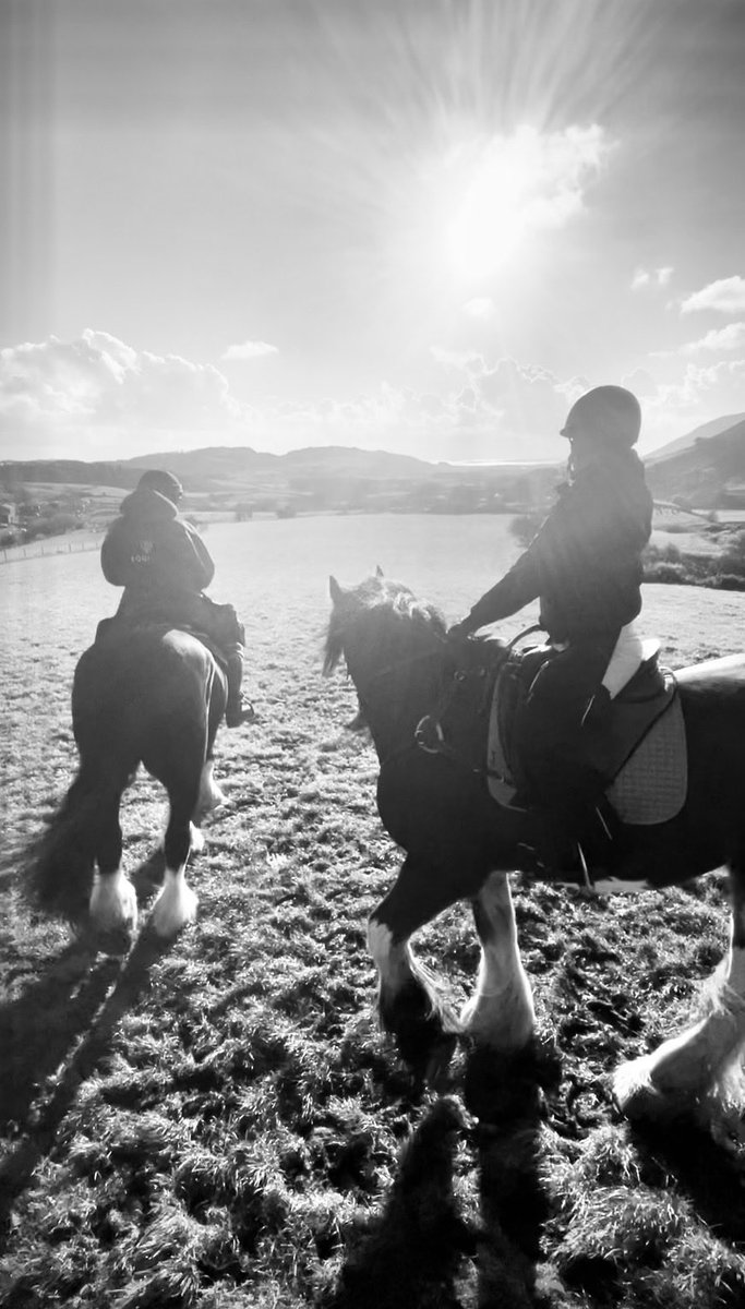 Handsome Linton, my gentle giant ❤️
