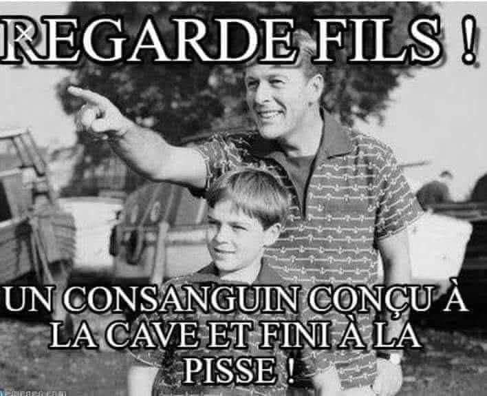 Gregmp4's tweet photo. @regelegorila Économiste de Wish 💩🤮 https://t.co/hkmKXHyTpi
