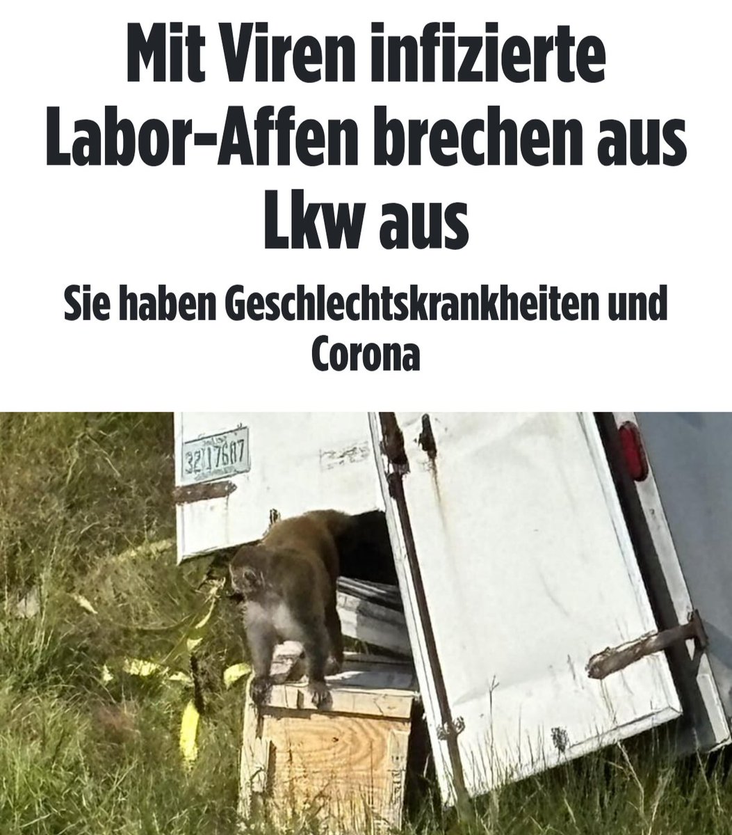 Ich sehe uns an Weihnachten schon mit Mundschutz und Kondom unterm Baum sitzen und dann sagt Opa, dass früher mehr Syphilis war.