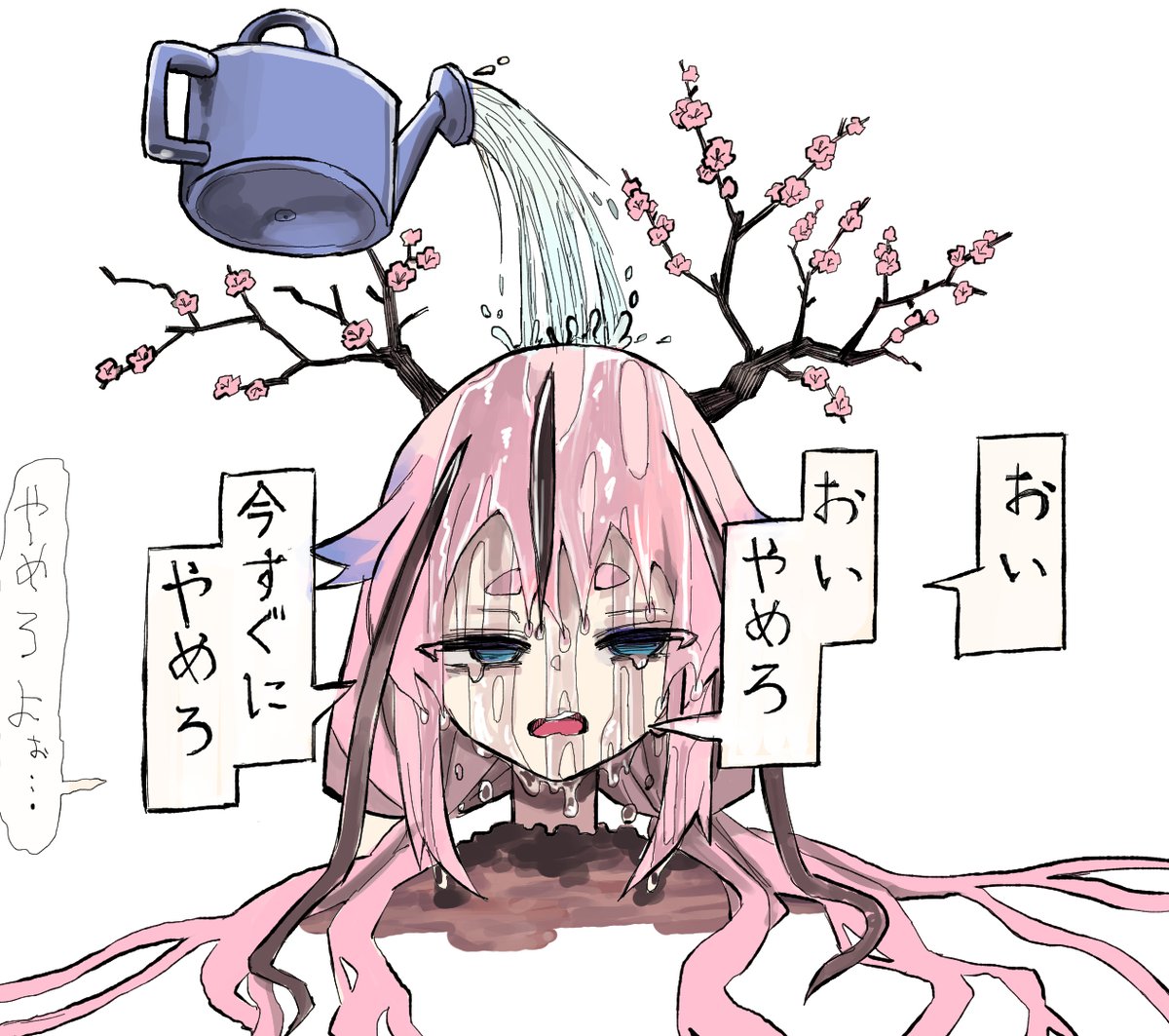 お水を上げましょう