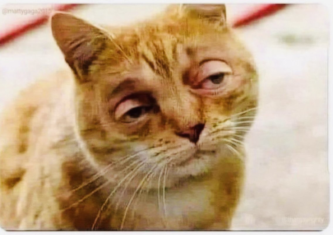 <a href="/NigeriaStories/">Nigeria Stories</a> We haven’t done anythin yet,we are jst testin d🎤. By d time we are done wit him,he wil regret ever rigging himself 2 power. And it’s a shameful thing 4 muslims 2 continue downplayin d genocide takin place in🇳🇬. For most muslims,they wud hav preferred us bein massacred in silence