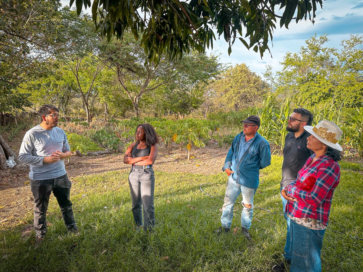 🌾 La Asociación de Mujeres Rurales Aloe Vera, beneficiarias de 285 hectáreas en el municipio de Baraya, Huila, compartió con la organización sueca <a href="/ForumCiv/">ForumCiv</a> los avances en la producción agrícola y el fortalecimiento comunitario que nacen cuando la tierra está en manos de quienes