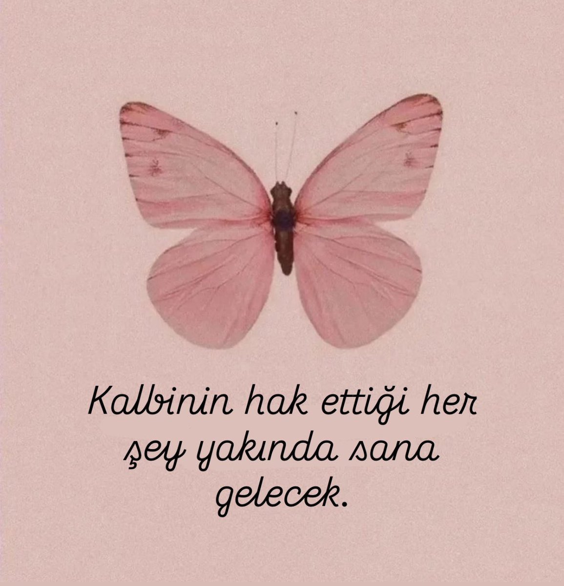 trrumeys's tweet photo. Kolaylıkla ✨ https://t.co/Iv1Vi1DKO7