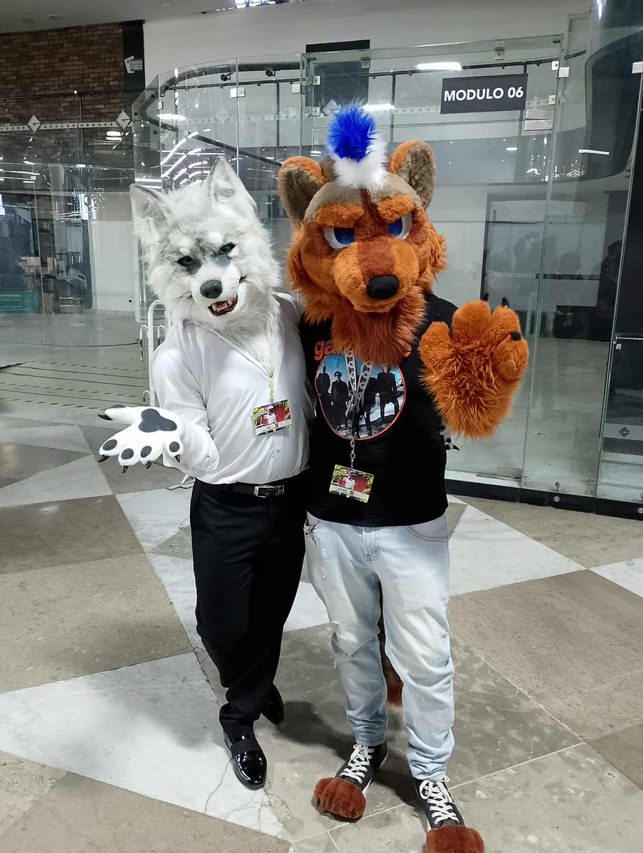 mapapacho's tweet image. Con Mister Señor Gado @suited_canine