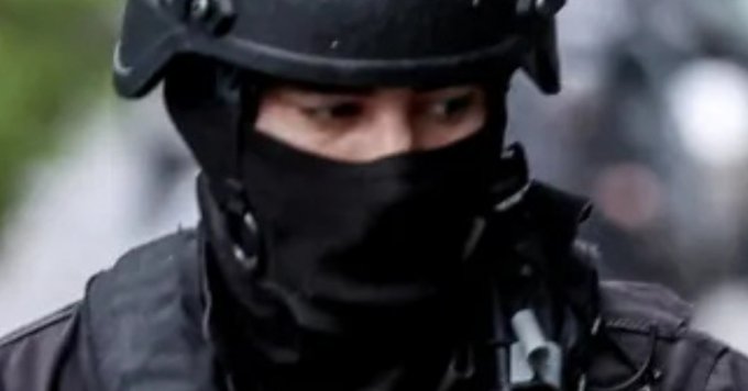 Masked individual wearing black balaclava helmet and tactical vest with shoulder straps holding what appears to be a rifle stands in outdoor setting with green blurred background.