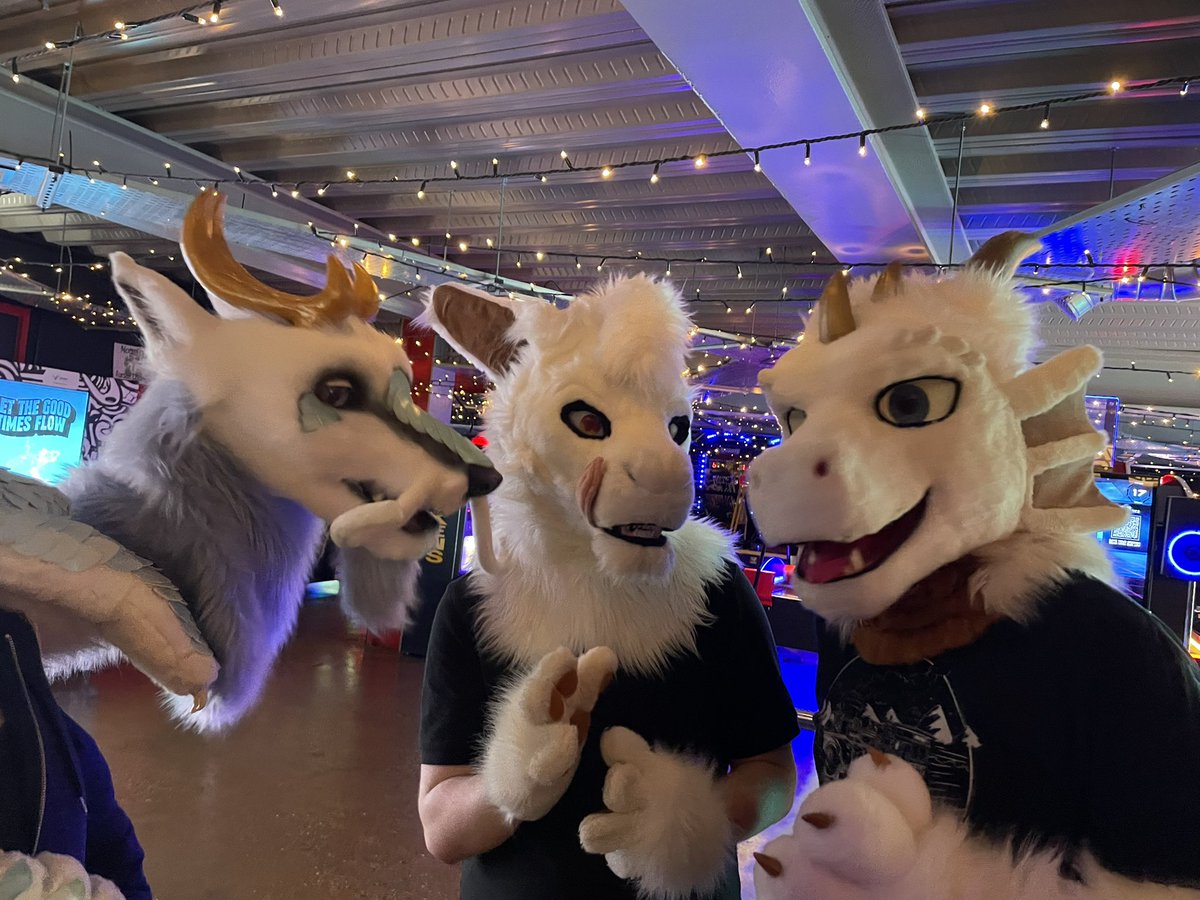 Panthera Panther tweet media