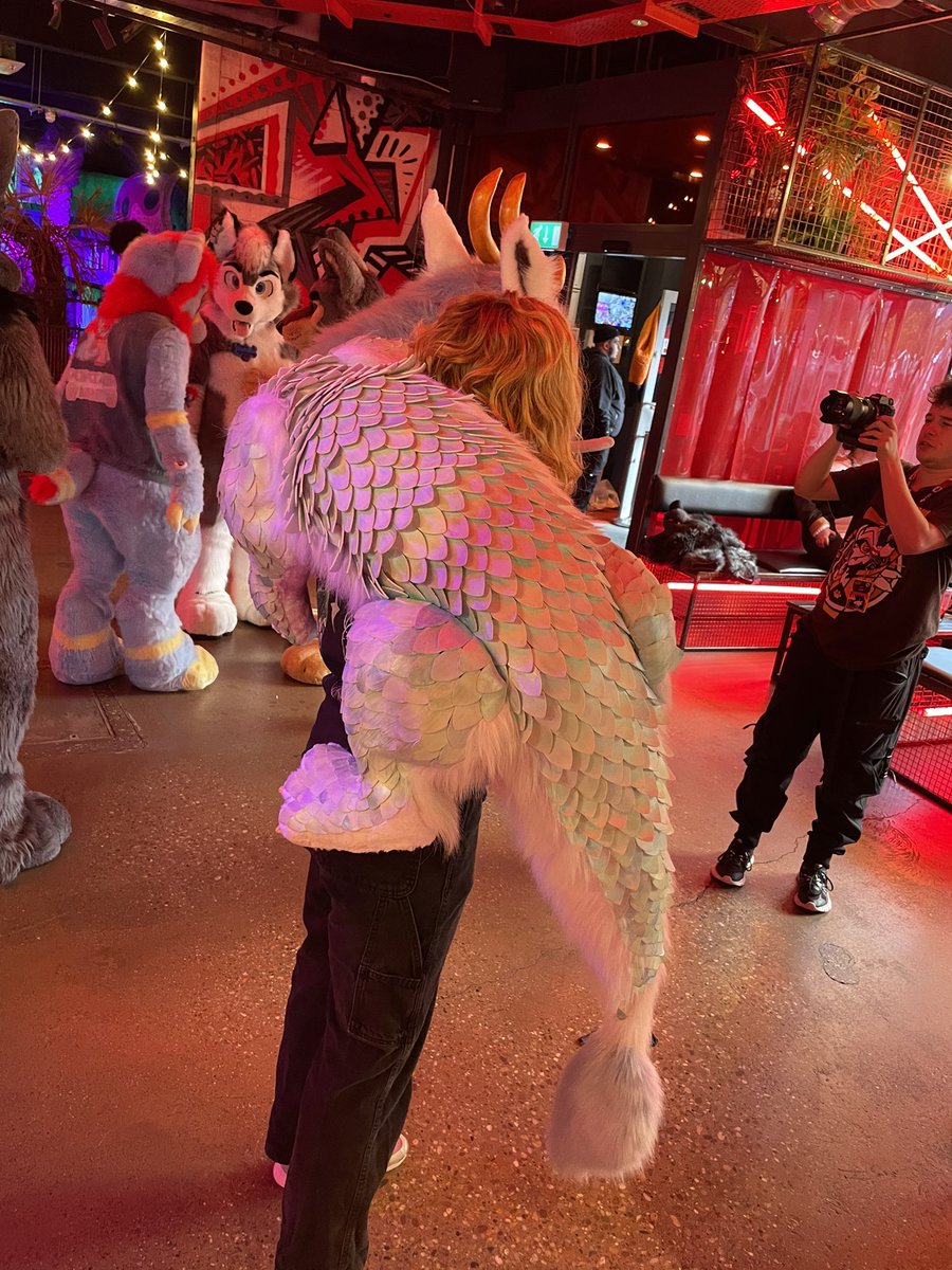 Panthera Panther tweet media