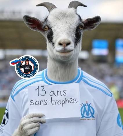 HarryLafraude tweet media