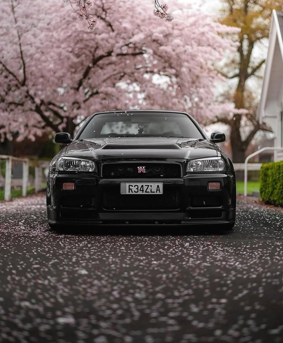 R34 🖤