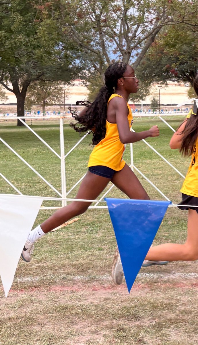 FREEMAN XC tweet media