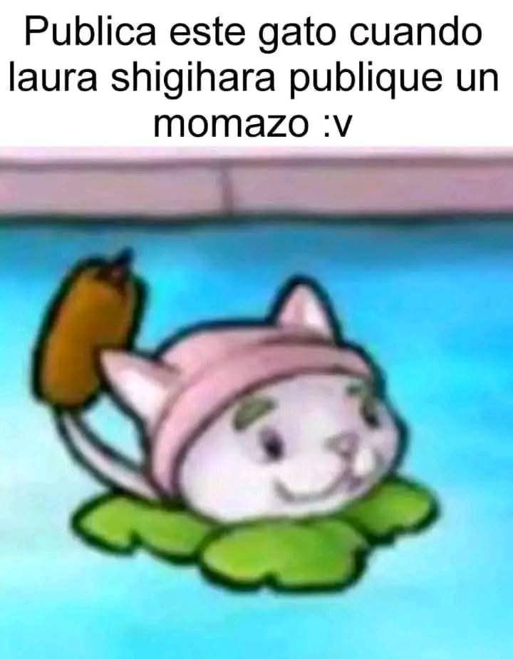 Aj Styles (@styles_aj20205) on Twitter photo 