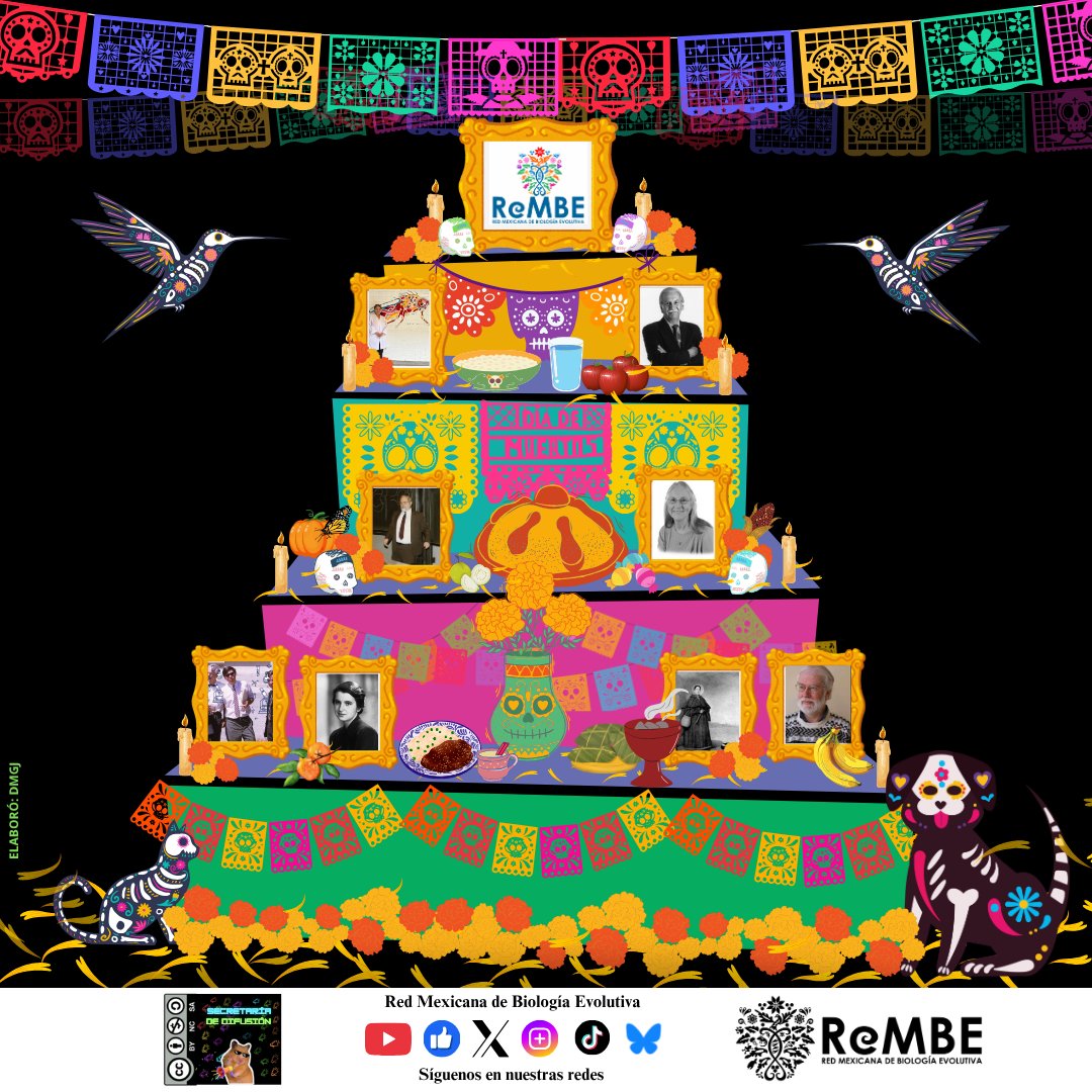 mex_evo's tweet photo. 🕯️Hoy recordamos a quienes ya no se encuentran en esta vida pero continúan entre nosotros✨
✨Desde la Secretaría de Difusión agradecemos la colaboración y participación de la comunidad en este proyecto✨.
#Rembe #evolución #DiaDeMuertos #altardemuertos https://t.co/1TtLJZaZaB