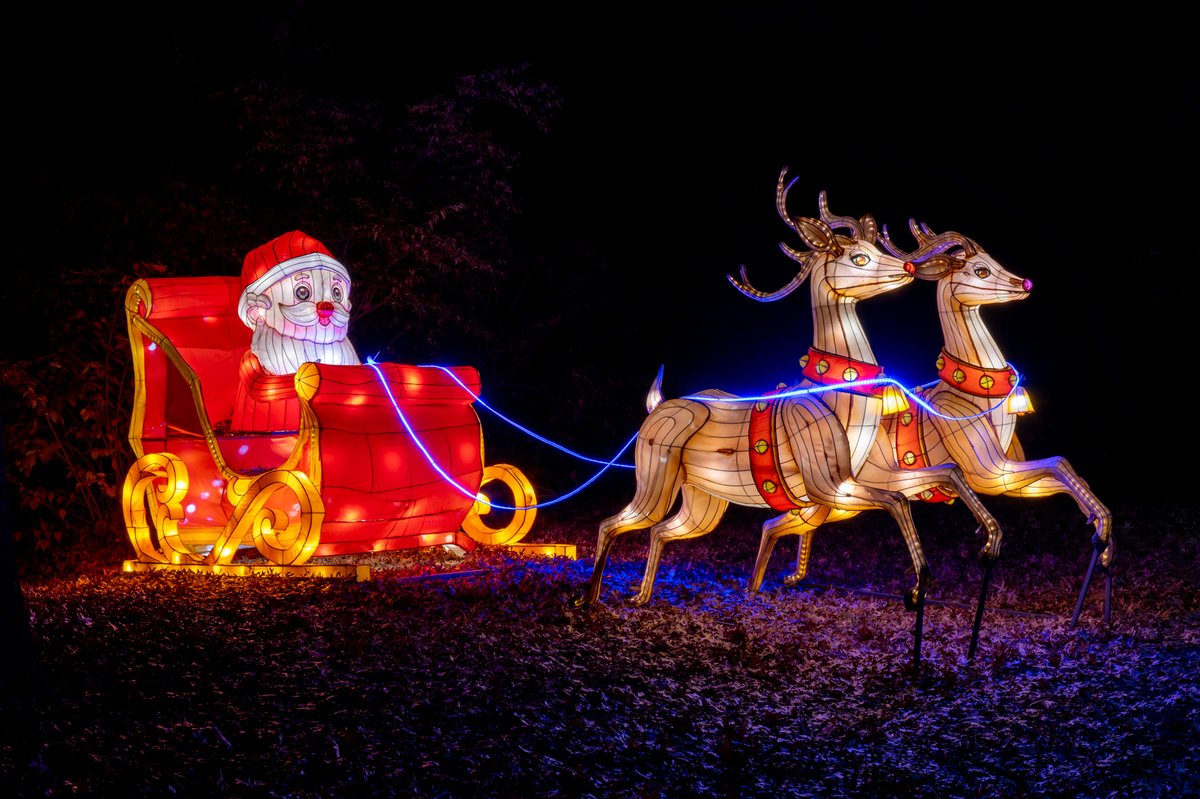 KansasCityZoo's tweet photo. Our North Pole Village returns tonight at GloWild presented by @saintlukeskc! Enjoy gorgeous photo ops and holiday activities from 5:30 to 10 pm. Learn about GloWild, view the full calendar, and get tickets at https://t.co/F5Wr8THKTE. https://t.co/wQRo2BXkI2