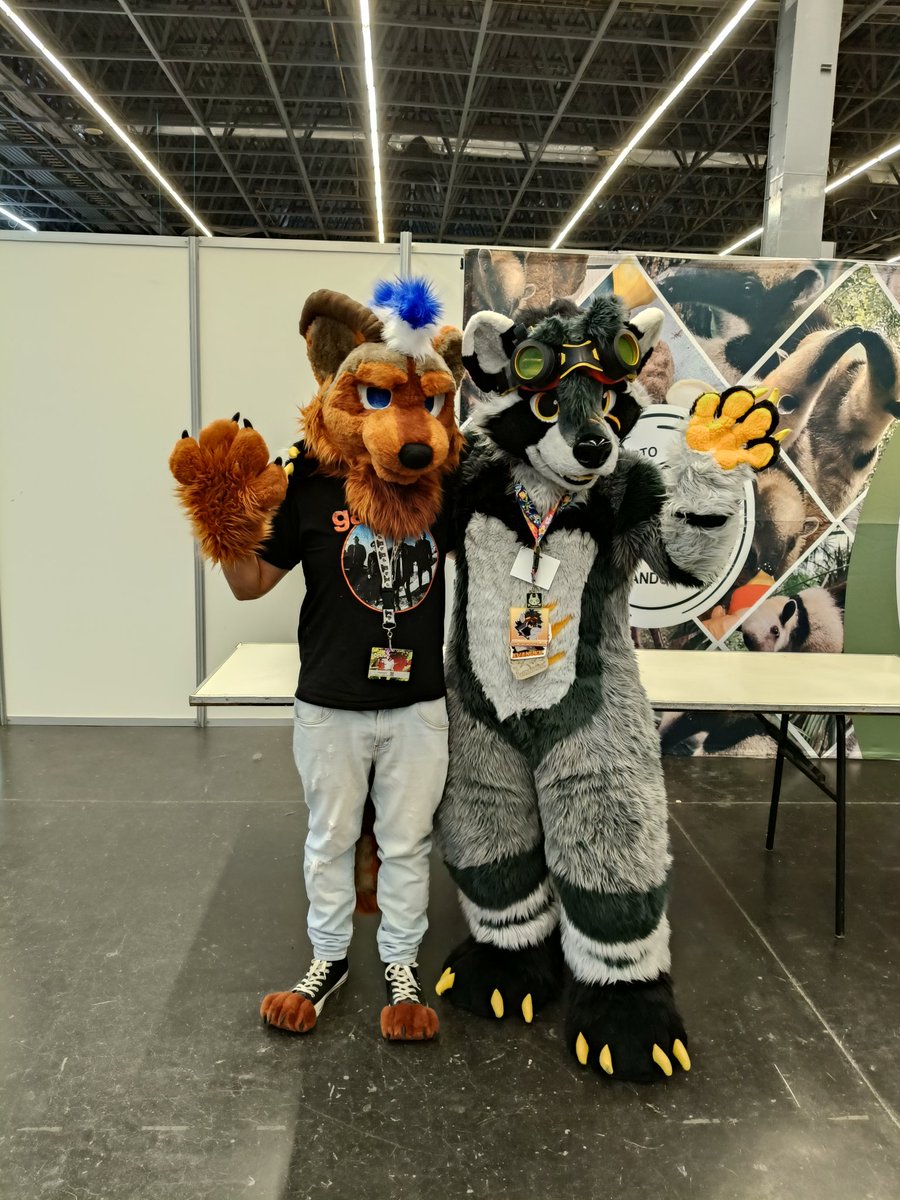 mapapacho's tweet image. Mapaches Famosos