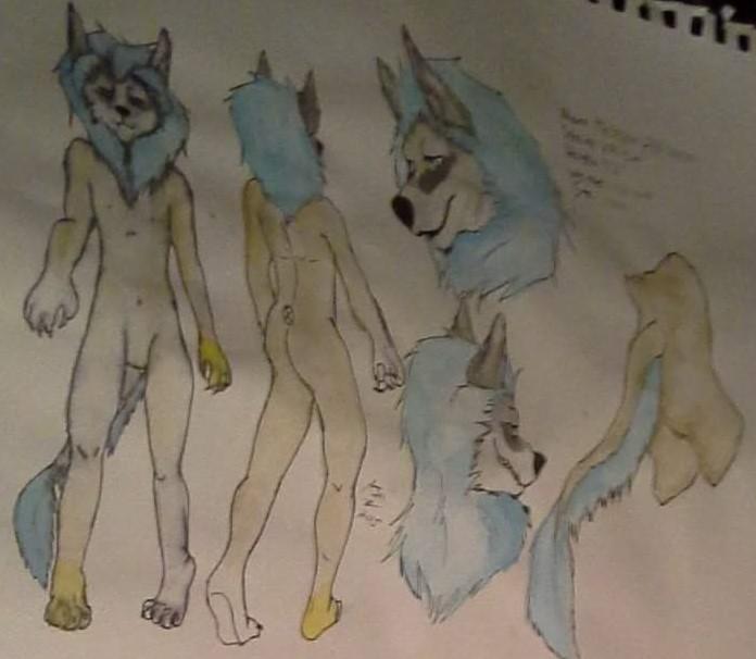 Absalom Liolf tweet media