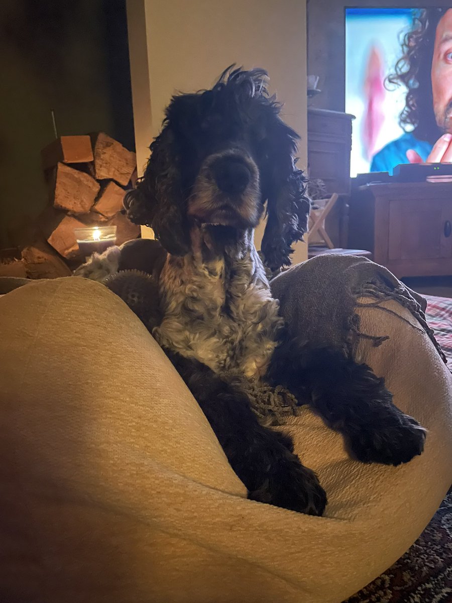 lazycrazygo's tweet image. Hewwwow 😍