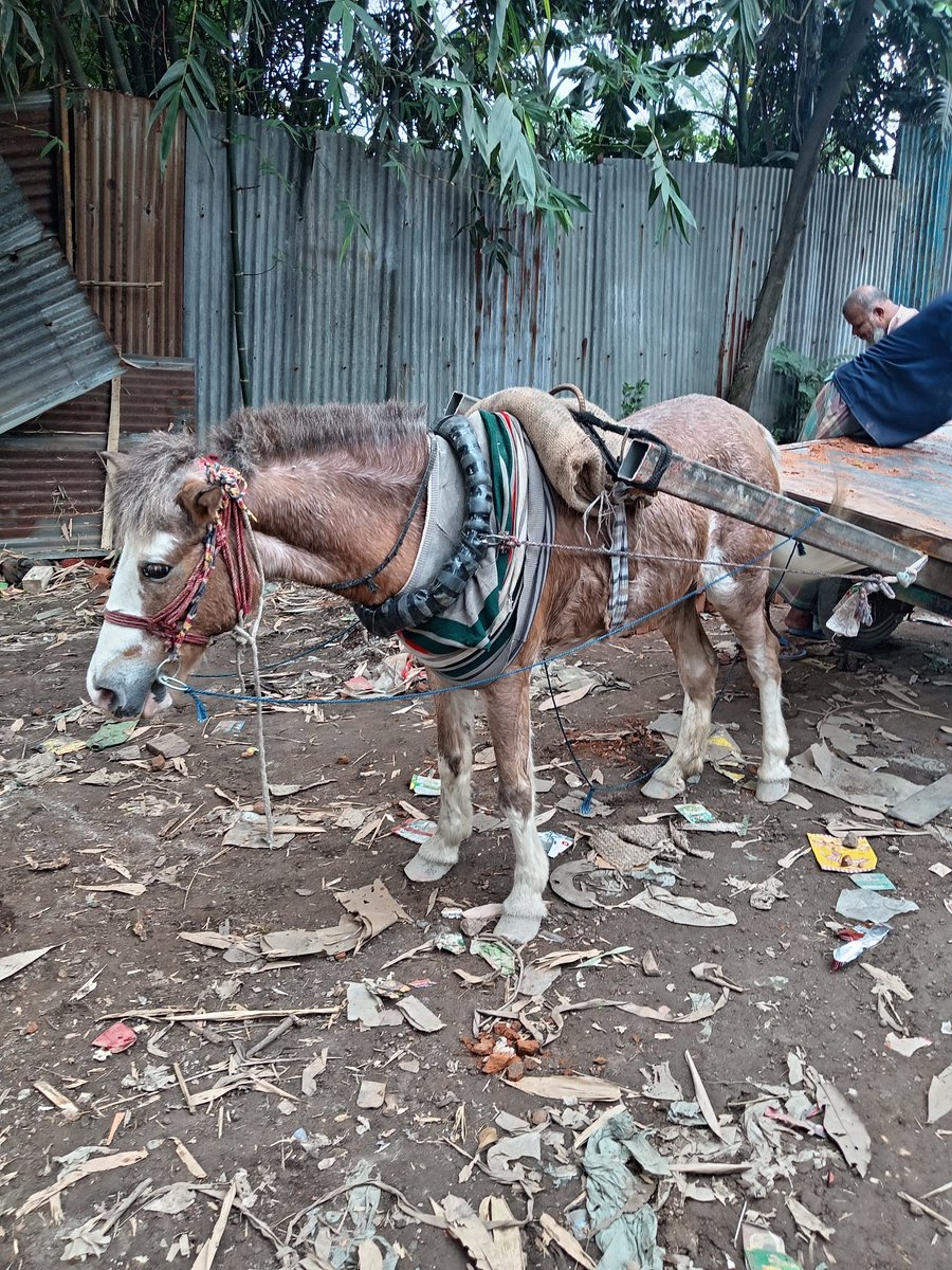 toslimmst's tweet image. 