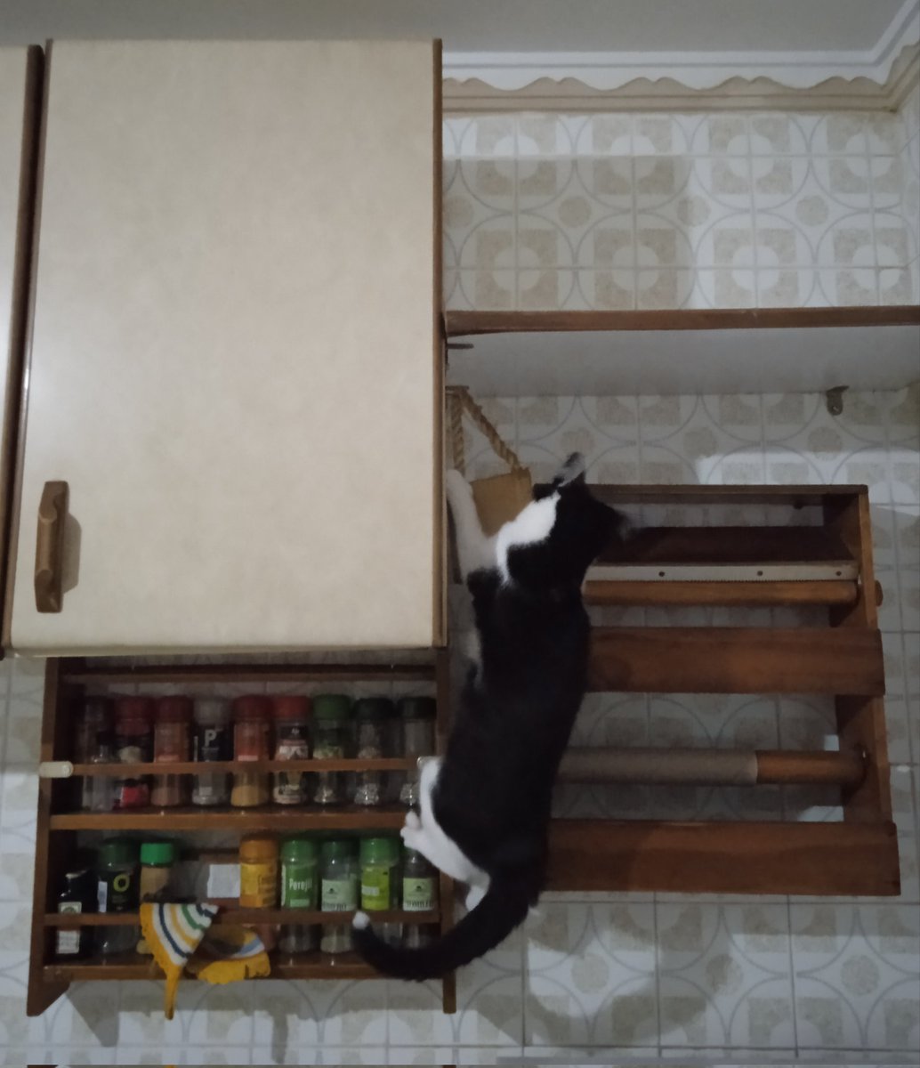 Patufet, estàs lokuelu 😂
Moltíssimes gràcies amic Carles!
🙏💖🍀🍀🍀
Bona nit i bon descans amigues i amics 😽💖🍀🌸🐾💤