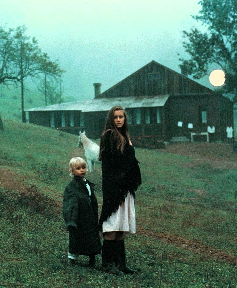 Waves of Eternity ᛊ tweet media