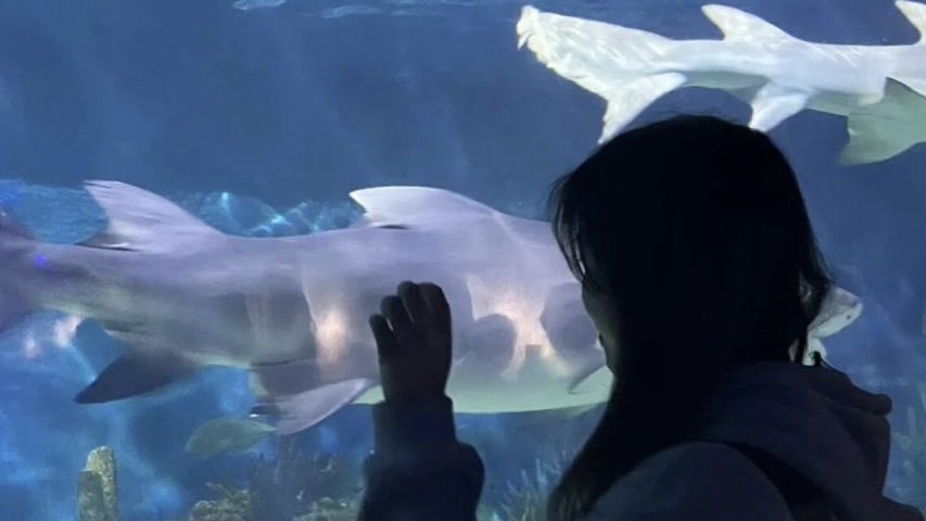 ͏͏͏͏͏͏         
͏͏͏͏͏͏ ͏͏͏͏͏͏ ͏͏͏͏͏͏                                     Tranquility
͏͏͏͏͏͏ ͏͏͏͏͏͏