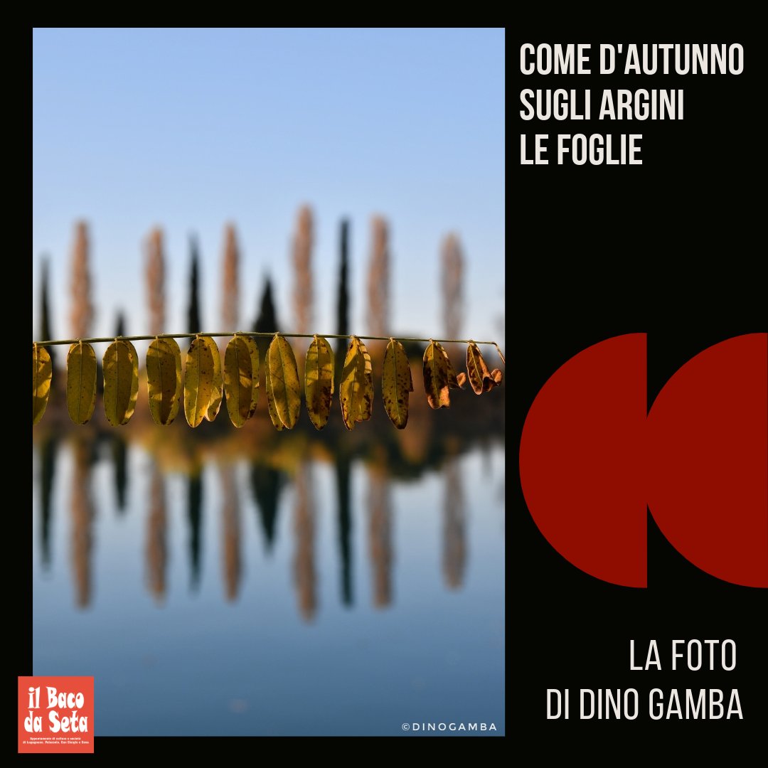 Il Baco da Seta (@ilbacodaseta) on Twitter photo 