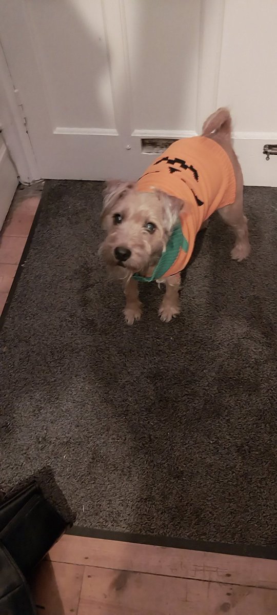 Dr. Bev Stewart is a bookworm 📚 tweet media