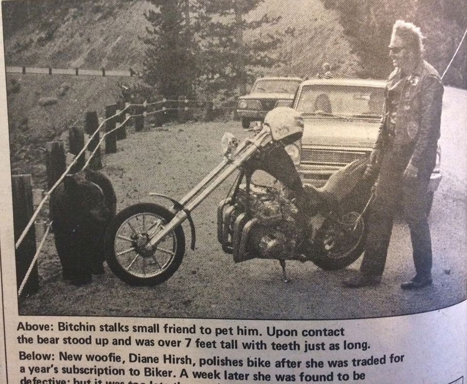 Proof that Bob Bitchin is not the brightest bulb in the package! How his love of bears overtook his common sense when riding thru Yellowstone on his way to Sturgis, almost 50 years ago.  A second after the pic was taken the bear stood up to his full height, over 7 feet!    LOL
