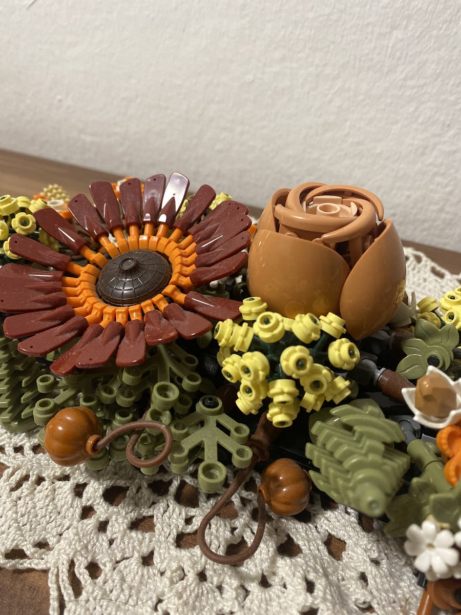 Sonia Zuccaro tweet media