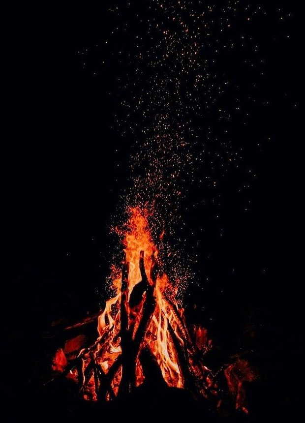 Milla🪽 tweet media